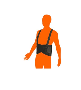 Back Support Belt (Large)